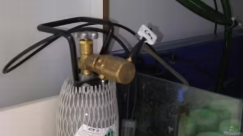 Technik im Aquarium Becken 8816 von Rainer Stilcke (26)