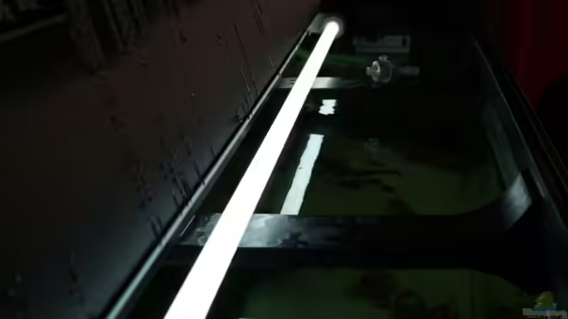 Technik im Aquarium Becken 8819 von XDennisX3 (11)