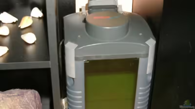 Technik im Aquarium Becken 8880 von Nadine Wilmer (12)