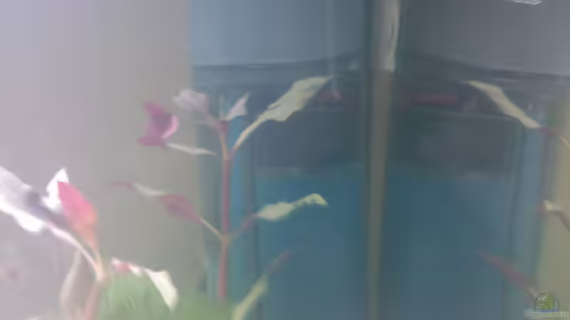 Technik im Aquarium Becken 8914 von André Böhme (8)