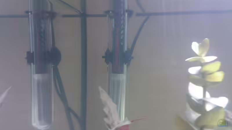 Technik im Aquarium Becken 8914 von André Böhme (9)