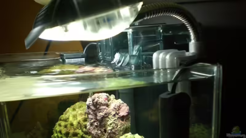 Technik im Aquarium Becken 8937 von rot08 (4)