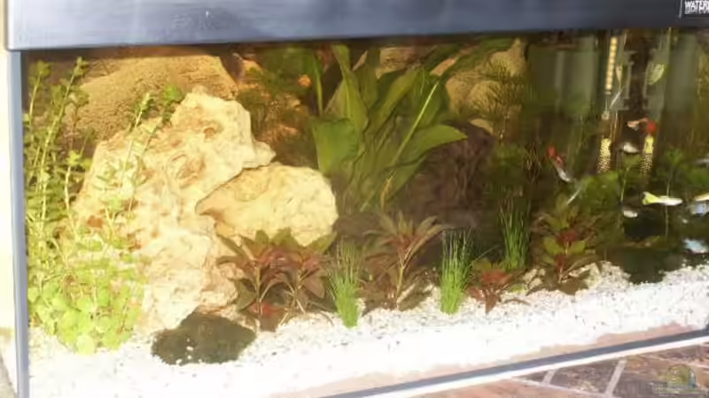 Technik im Aquarium Becken 8995 von Sascha Dannenberg (5)