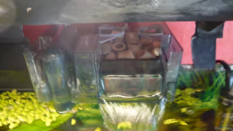 Technik im Aquarium Becken 9145 von Alwin Dick (12)