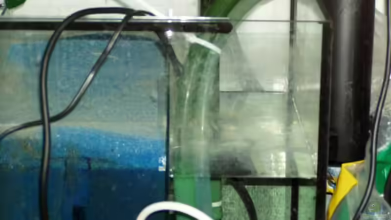 Technik im Aquarium Becken 915 von Sven Busch (11)