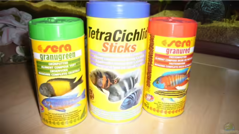 Technik im Aquarium Becken 9354 von robbi850 (12)