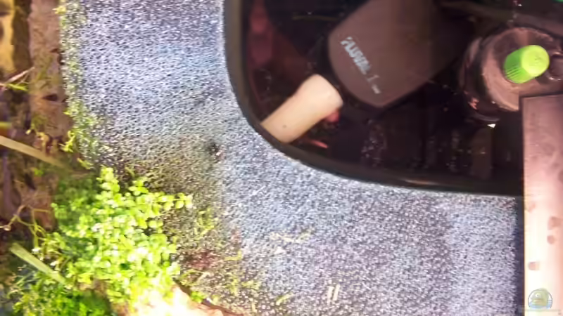 Technik im Aquarium Becken 9440 von basetim (19)