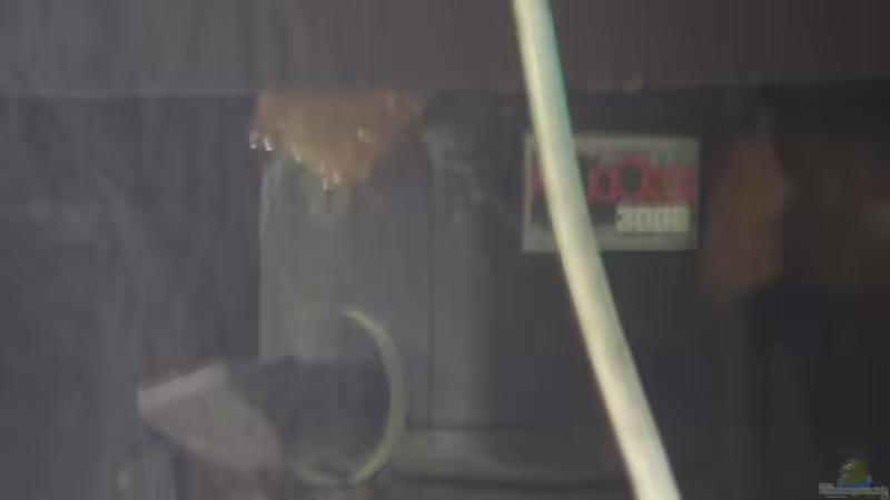 Technik im Aquarium Becken 9554 von axxlon (8)