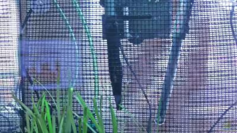 Technik im Aquarium Becken 9574 von Plattenjaeger (5)