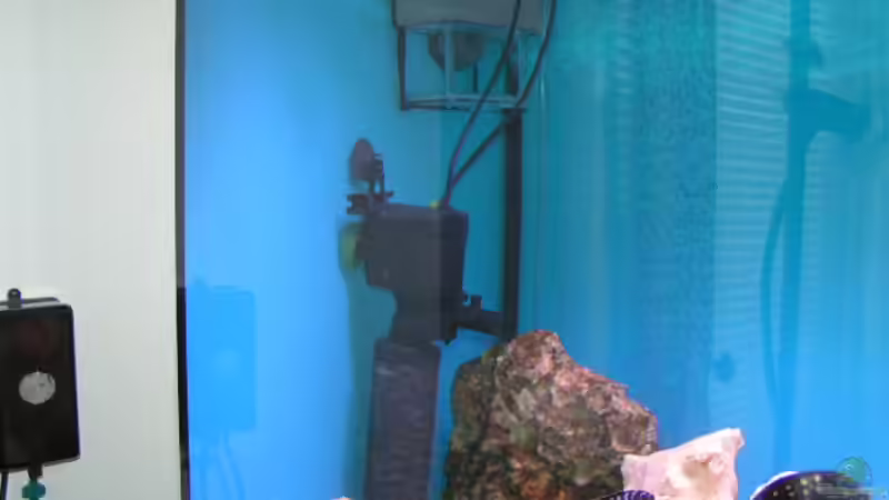 Technik im Aquarium Becken 959 von Eugen Margulis (7)
