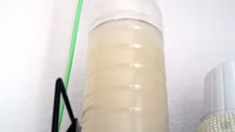 Technik im Aquarium Becken 9592 von katharina (12)