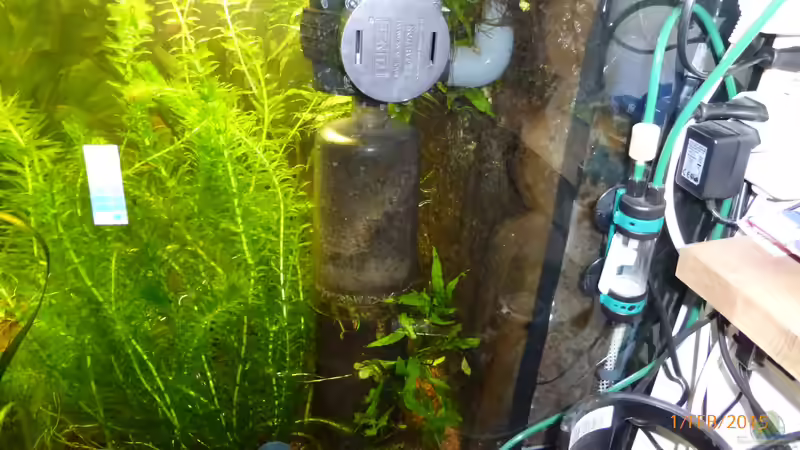 Technik im Aquarium Becken 9749 (nur noch als Beispiel) von Blackwater (16)