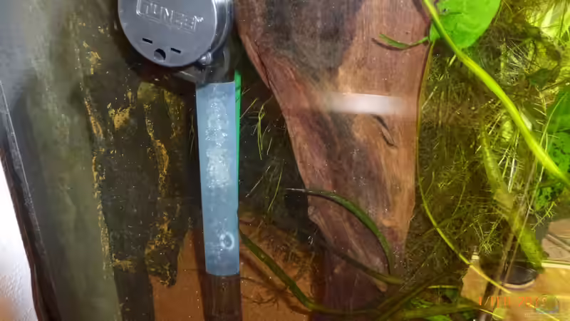 Technik im Aquarium Becken 9749 (nur noch als Beispiel) von Blackwater (17)