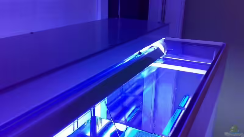 Technik im Aquarium Becken 9928 von der Preusse (16)