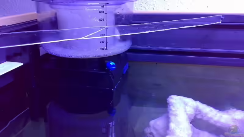 Technik im Aquarium Becken 9928 von der Preusse (17)