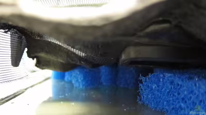 Technik im Aquarium Becken II von Dani82 (6)