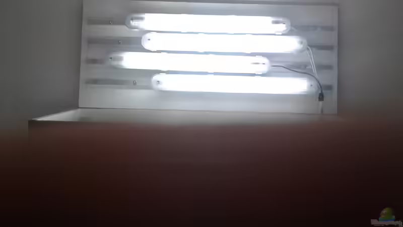 Technik im Aquarium Becken1 von wasserträger (10)