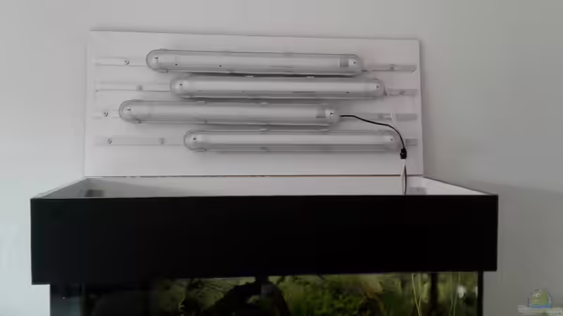 Technik im Aquarium Becken1 von wasserträger (9)