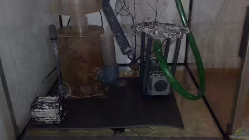 Technik im Aquarium BIKINI BOTTOM von Spongebob (17)