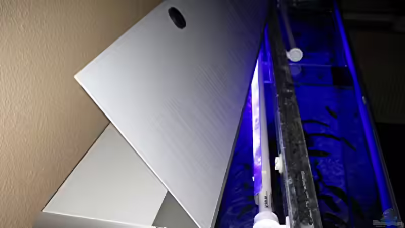 Technik im Aquarium Bilskirnir von T H O R (57)