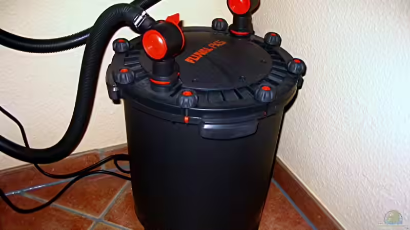 Technik im Aquarium Bilskirnir von T H O R (58)