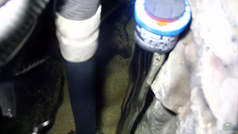 Technik im Aquarium Bilskirnir von T H O R (59)