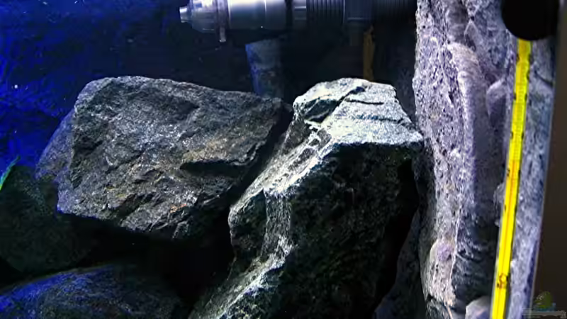 Technik im Aquarium Bilskirnir von T H O R (60)