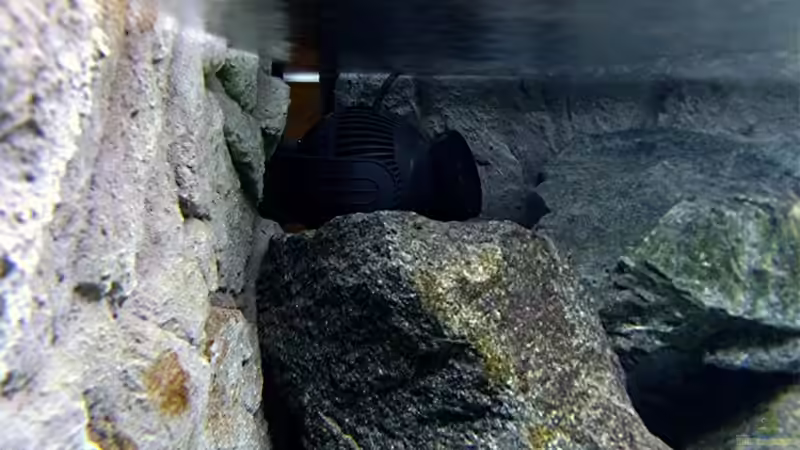 Technik im Aquarium Bilskirnir von T H O R (64)