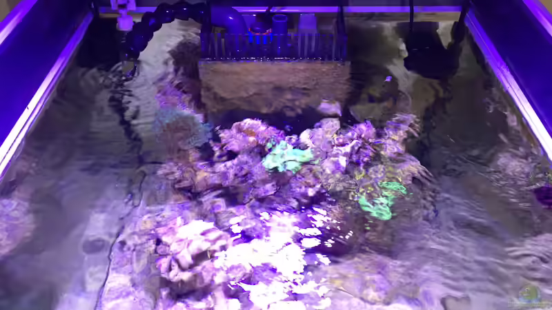 Technik im Aquarium Blaue Ecke von Cyano-Kanone (9)