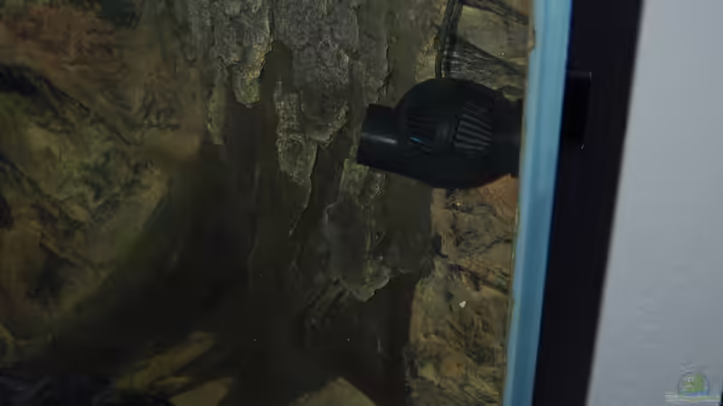 Technik im Aquarium Blauer Felsen von Christian Schlüter (10)