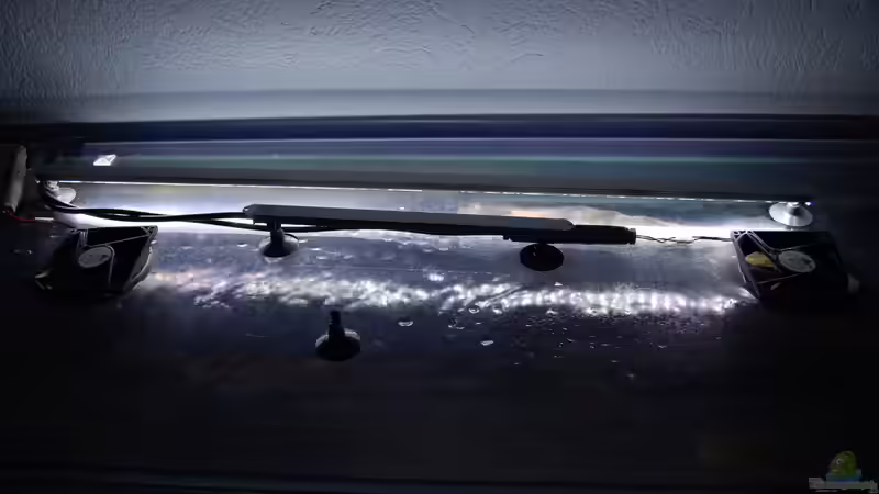 Technik im Aquarium Blauer Felsen von Christian Schlüter (9)