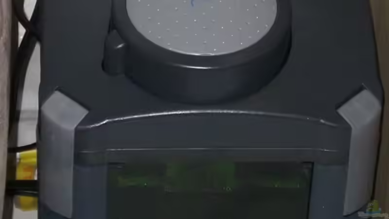 Technik im Aquarium Blaupunkt und Sajica von Bastian & Sandra (11)