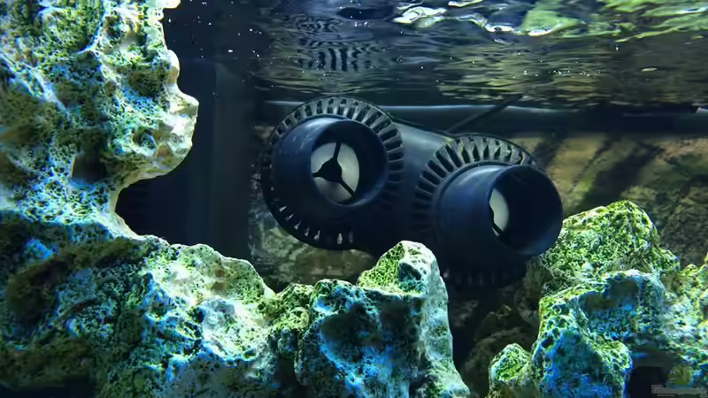 Technik im Aquarium Brackwasserbecken von _JWoww_ (12)