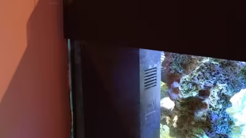 Technik im Aquarium Brackwasserbecken von _JWoww_ (13)