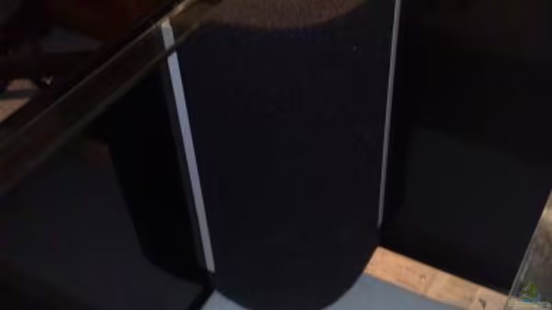 Technik im Aquarium Brasilien Amazonas (aufgelöst) von Zigermandli (10)