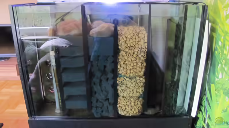 Technik im Aquarium Central Park von Leo-FAN (47)