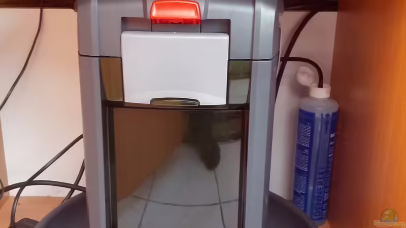 Technik im Aquarium Channa Home (nur noch als Beispiel) von Rabunz3l (12)