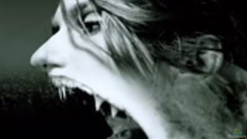 Technik im Aquarium Channel II von Chris_R. (27)