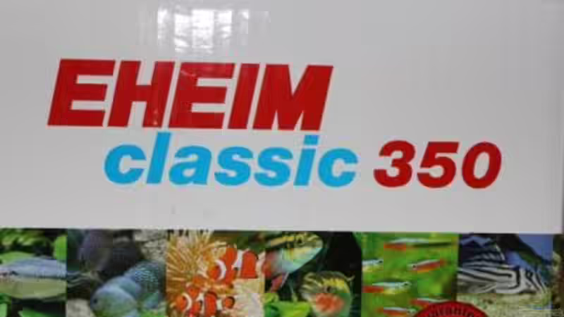 Technik im Aquarium Chao phraya von lomarraco (53)