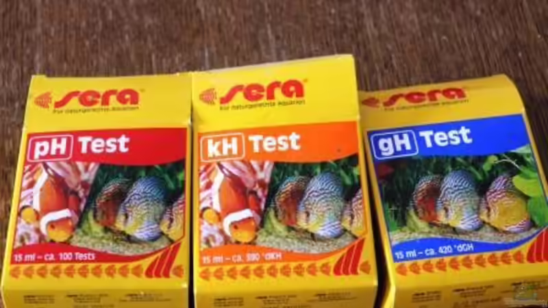 Technik im Aquarium Chao phraya von lomarraco (57)