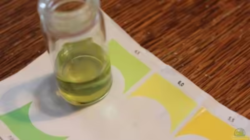 Technik im Aquarium Chao phraya von lomarraco (58)