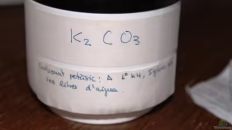 Technik im Aquarium Chao phraya von lomarraco (59)