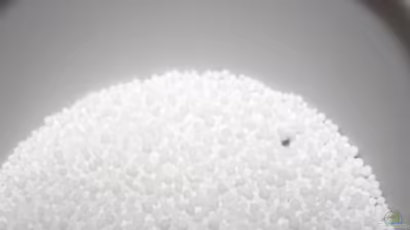 Technik im Aquarium Chao phraya von lomarraco (60)