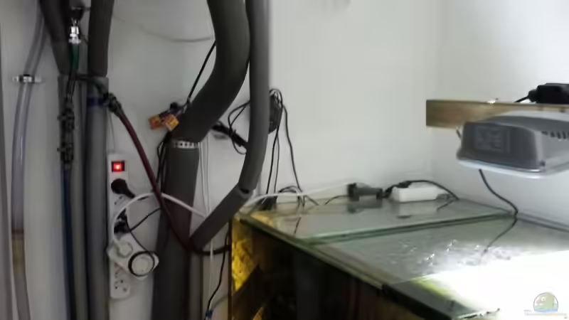 Technik im Aquarium Cichlidenbecken von Juergen8 (8)