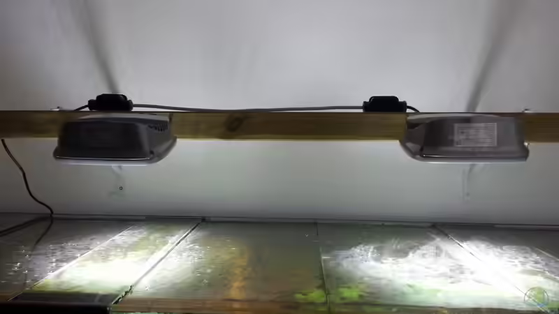 Technik im Aquarium Cichlidenbecken von Juergen8 (9)