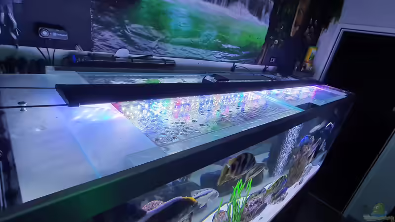 Technik im Aquarium Cichlidenparadies von Malawi-Guard (53)