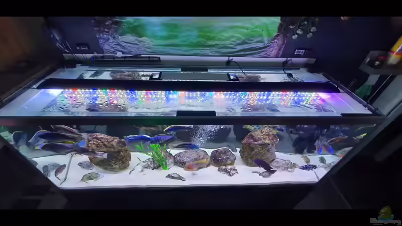 Technik im Aquarium Cichlidenparadies von Malawi-Guard (54)