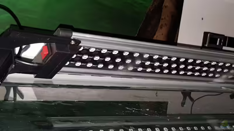 Technik im Aquarium Cichlidenparadies von Malawi-Guard (55)