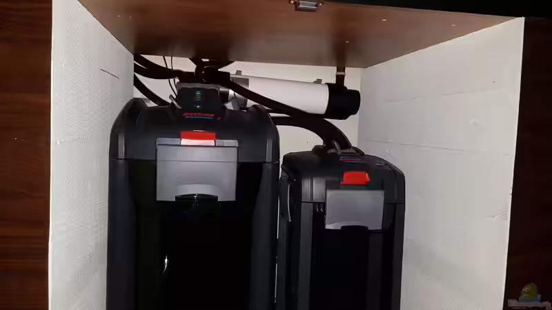 Technik im Aquarium Cichlidenparadies von Malawi-Guard (57)