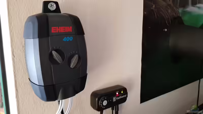 Technik im Aquarium Cichlidenparadies von Malawi-Guard (60)